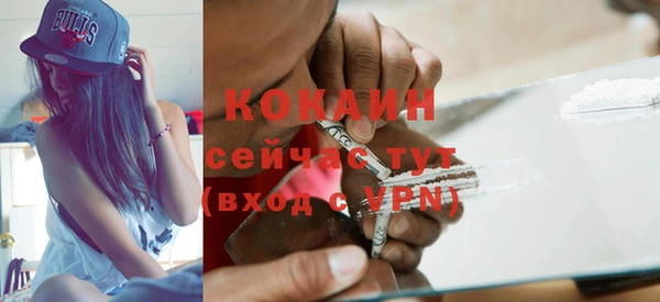 индика Белоозёрский