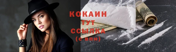 spice Богородицк