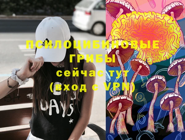 а пвп мука Богданович