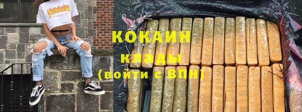 индика Белоозёрский