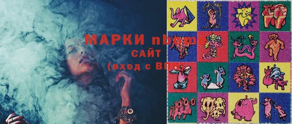 spice Богородицк