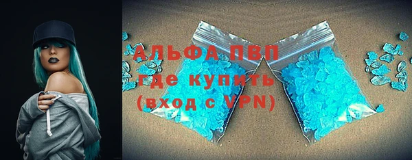 индика Белоозёрский