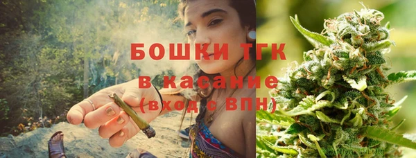 гашик Богородск